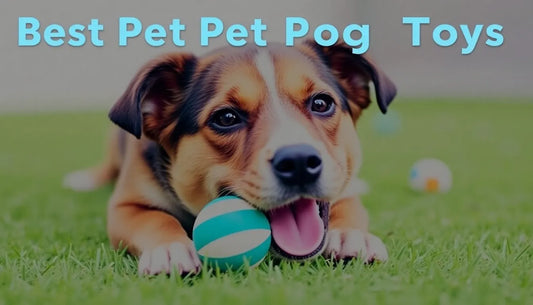 Discover the Best Pet Dog Toys of the Year