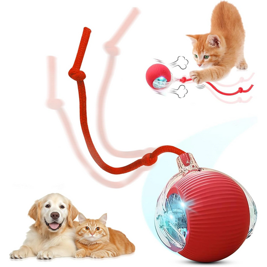 Hot Electric Dog Ball Toys Automatic Rolling Ball Rechargeable Smart Pet Interactive Plush Toy Dog Cat Training Imitate Mouse