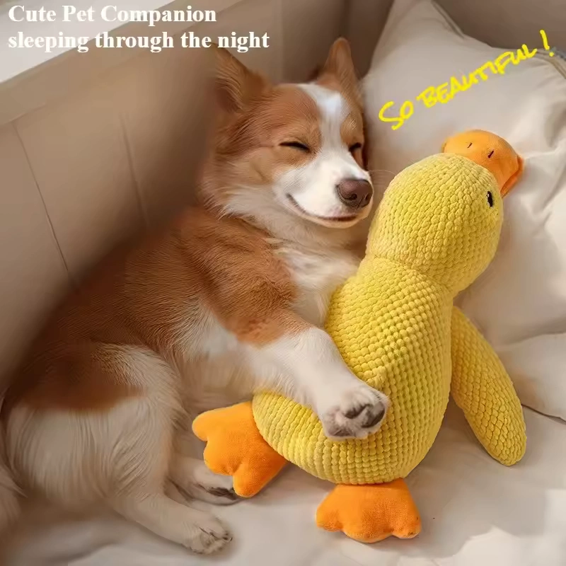 Dog Plush Toys