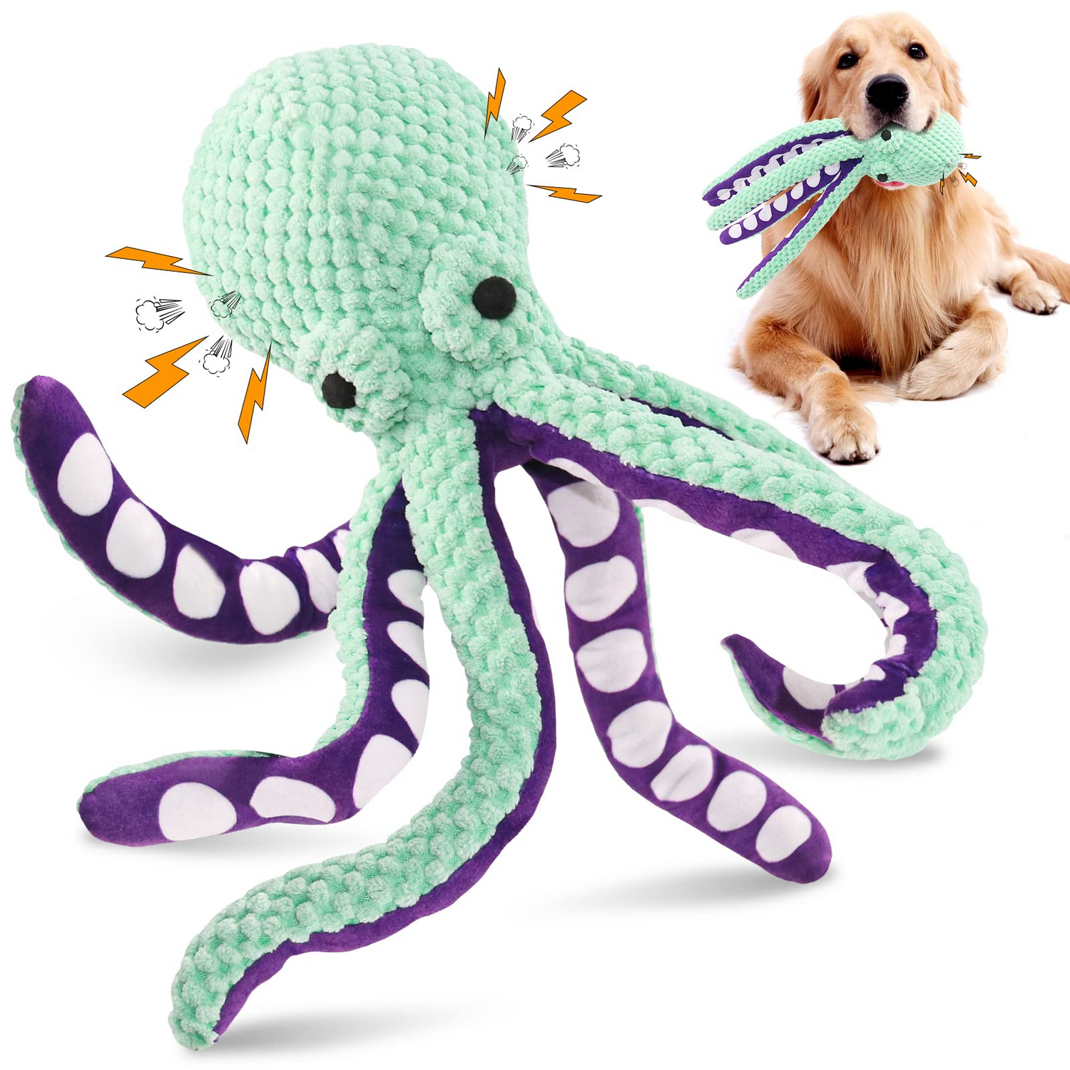 Dog Squeak Toys