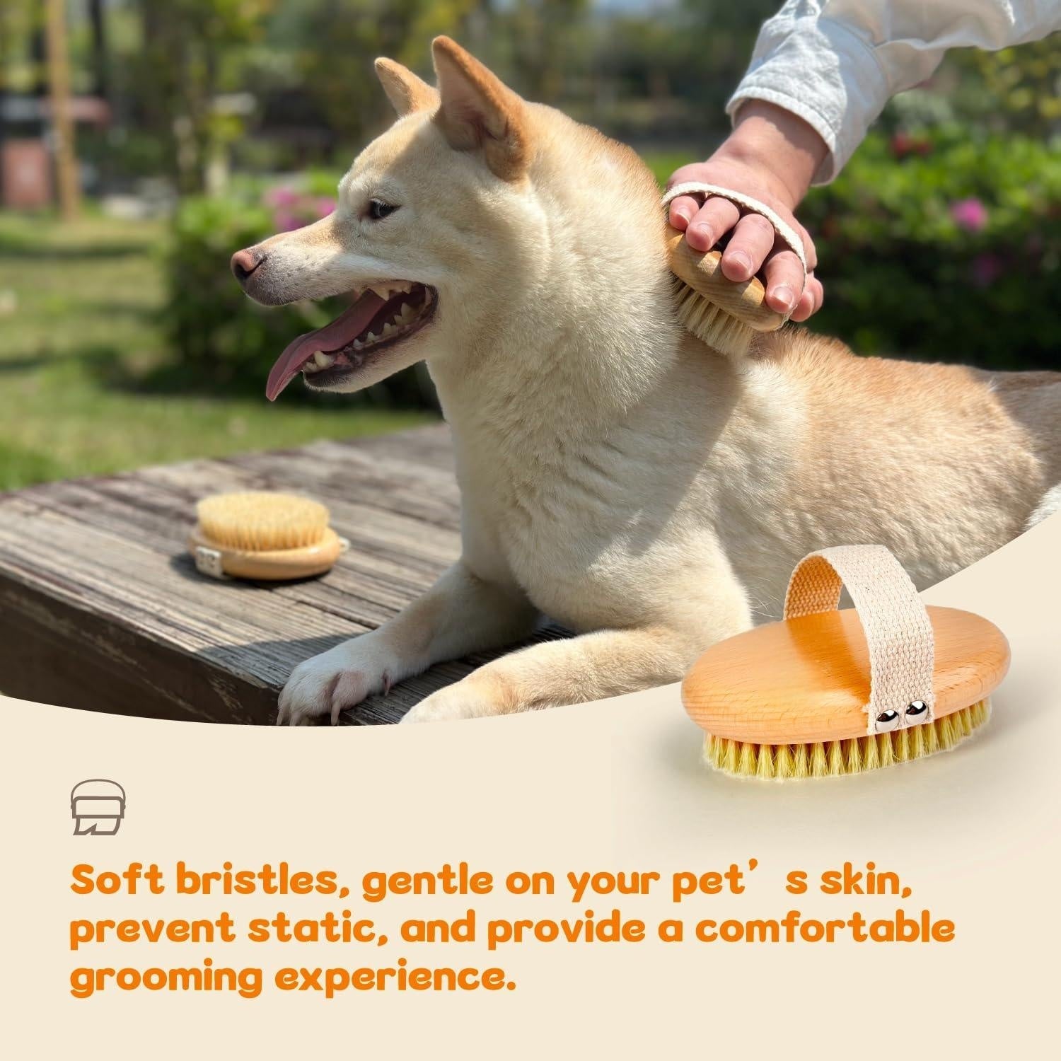 Professional Dog Brush Boar Bristle for Short-Haired Dogs