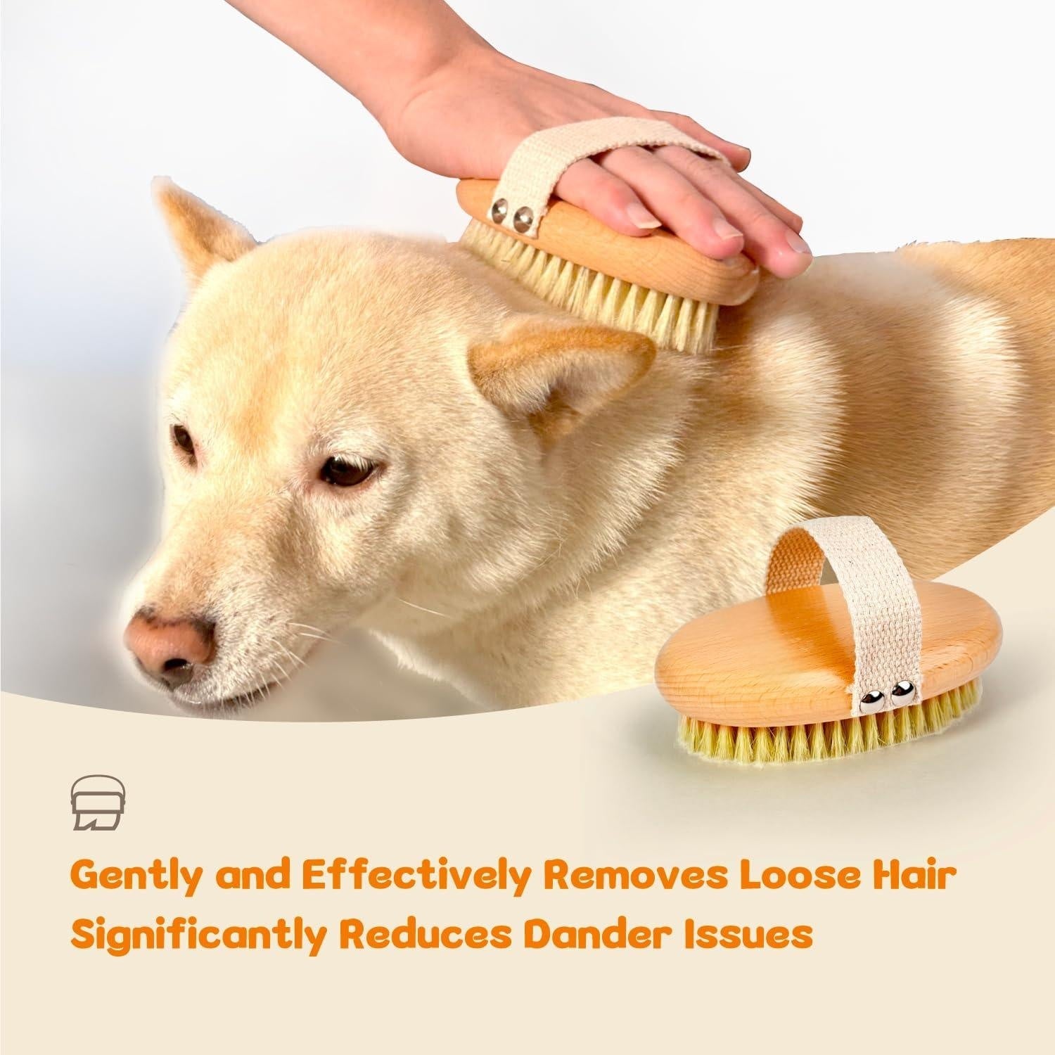 Professional Dog Brush Boar Bristle for Short-Haired Dogs