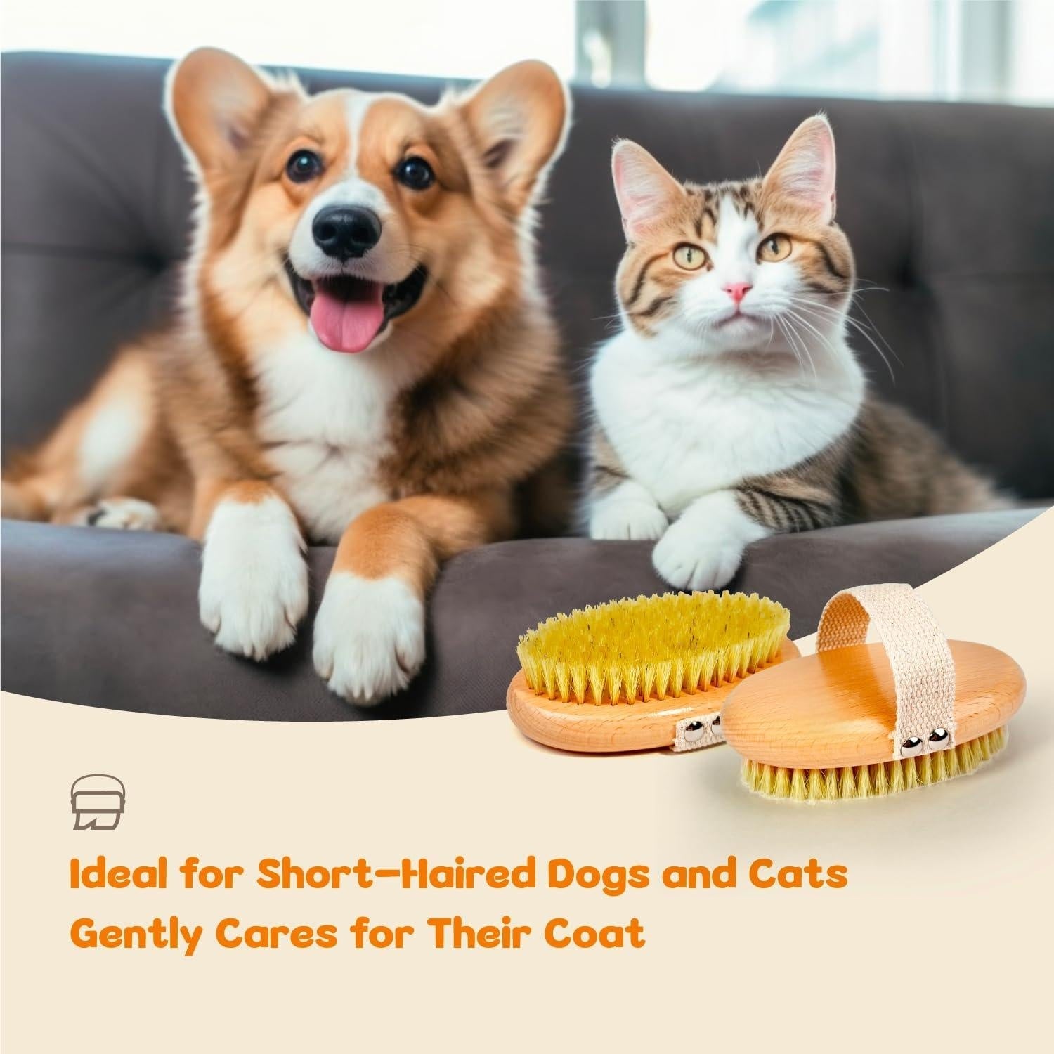 Professional Dog Brush Boar Bristle for Short-Haired Dogs