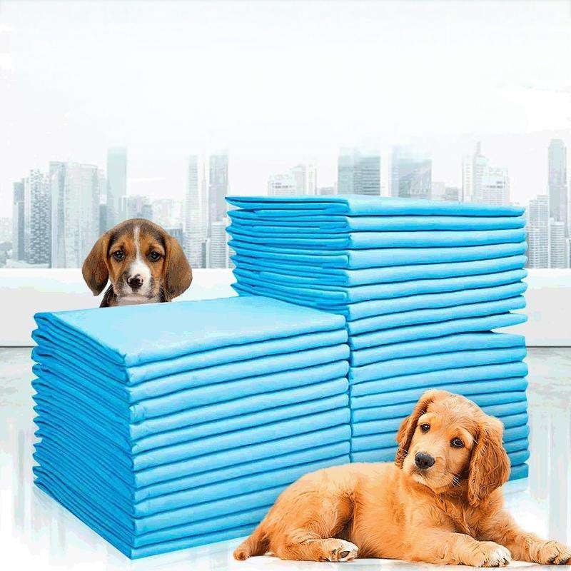 Count Super Absorbent Pee Pads for Dogs