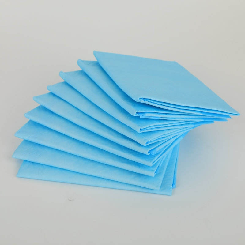 Count Super Absorbent Pee Pads for Dogs