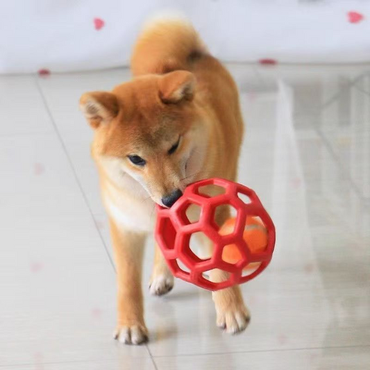Wholesale Interactive Elastic TPR Plastic Dog Ball Bite Resistant Christmas Ball Design for Pet Movement & Playing Toys