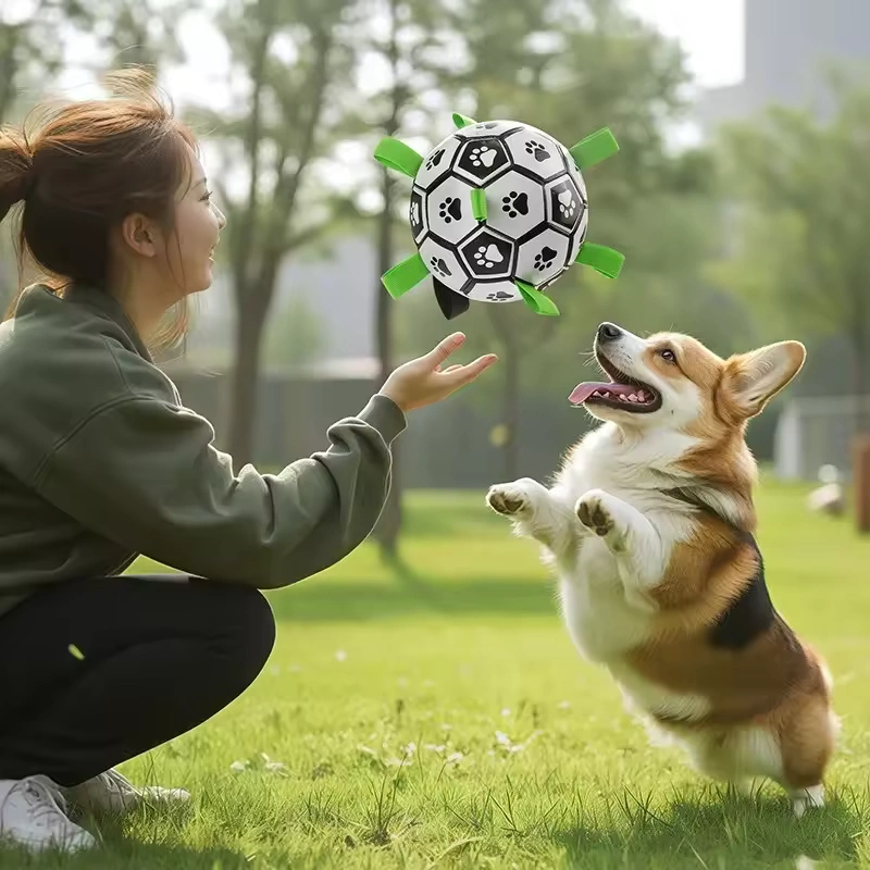 Interactive Dog Football Toy Soccer Ball Inflated Training Toy for Dogs Outdoor Border Collie Balls For Large Dogs Pet Supplies