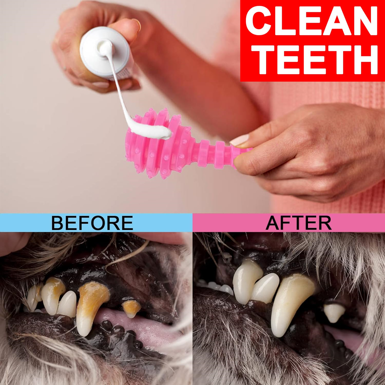 6 PCS Dog Chew Toys For Cleaning Teeth Soft Rubber Bone Funny Ball Interactive Donut Treat Set For Small Medium Dogs Pet Gifts