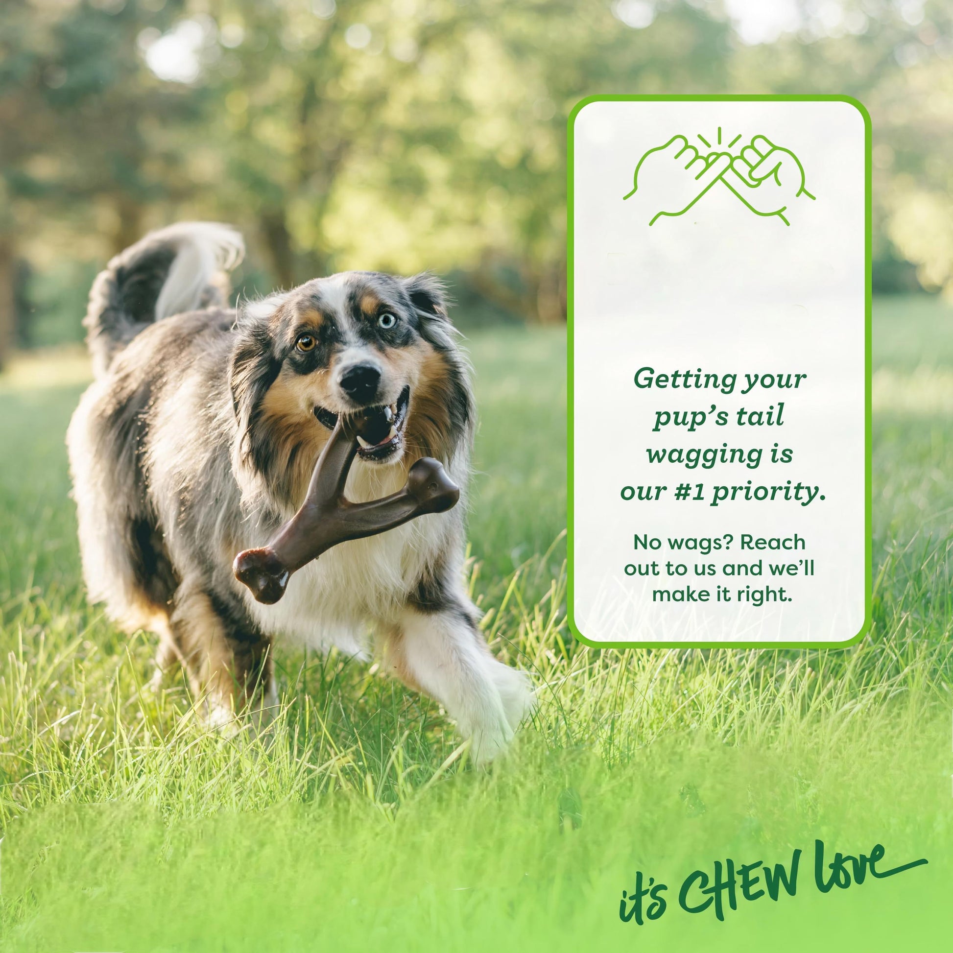 Wishbone Durable Dog Chew Toy for Aggressive Chewers Real Bacon Made in USA Medium